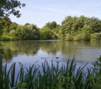 Beckford Nature Reserve